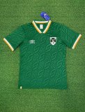 Ireland Commemorative  pecial Edition Fans Green  1:1 Quality Soccer Jersey  26-27 (2026)