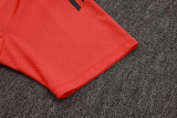 Bayern Munich Polo Fans  Red 1:1 Quality Soccer Jersey  25-26