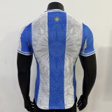 Argentina Special Edition  Player 1:1 Quality Soccer Jersey  24-25