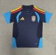 Spain Training Special Edition Player  1:1 Quality Soccer Jersey 26-27（2026）