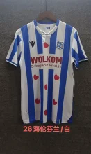 Haiyin Lunfen Home Fans 1:1 Quality Soccer Jersey  25-26