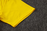 Dortmund  training  fans  1:1 Quality Soccer Jersey  24-25