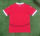 Austria home Fans 1:1 Quality Soccer Jersey  24-25