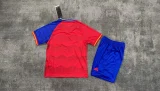 Spain Special Edition Kids 1:1 Quality Soccer Jersey 24-25