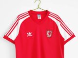 Retro Welsh home 1:1 1982