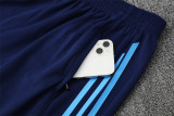 Real Madrid  Training  Fans kits  1:1 Quality Soccer Jersey 25-26 (Kids And Man )