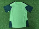 Mexico Training Player With Pants Sets 1:1 Quality Soccer Jersey   26-27 (2026)