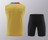 Barcelona Training clothing Vest set 1:1 Quality Soccer Jersey    24-25