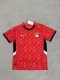 Egypt home fans 1:1 Quality Soccer Jersey   25-26
