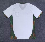 Portugal Special Edition Fans 1:1 Quality Soccer Jersey  25-26