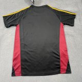 Roma Special Edition Fans 1:1 Quality Soccer Jersey  25-26