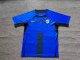 Slovenia home Fans  1:1 Quality Soccer Jersey   24-25
