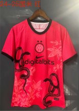 Inter Milan  Special Edition  fans  1:1 Quality Soccer Jersey    24-25