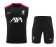 Liverpool Training clothing Vest  set 1:1 Quality Soccer Jersey    24-25