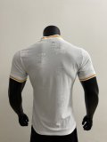 Cote dIvoire away player 1:1 Quality Soccer Jersey   25-26