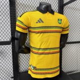 Jamaica Home player 1:1 Quality Soccer Jersey 26-27