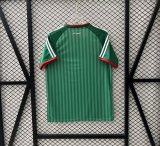 Algeria Away Fans 1:1 Quality Soccer Jersey  26-27(2026)