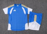 Adidas Clover Sets  Blue 1:1 Quality Soccer Jersey  25-26
