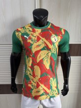 Senegal Special Edition player   1:1 Quality Soccer Jersey   25-26