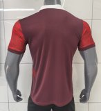 Portugal Special Edition fans 1:1 Quality Soccer Jersey  25-26