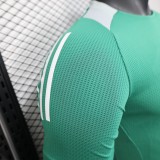 Algeria  Green player 1:1 Quality Soccer Jersey 2025