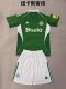 Newcastle Away Fans  (Kids and Man)  1:1 Quality Soccer Jersey  25-26