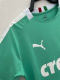 Retro Palmeiras Third Away  1:1 Quality Soccer Jersey   2019-2020