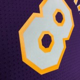 Los Angeles Lakers Kobe  #8 BRYANT Purple V-neck  NBA Jerseys  2000-2001