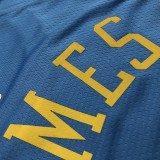 Los Angeles Lakers  Round Neck  MPLS  Blue #6 JAMES 1:1 Quality NBA Season Jerseys