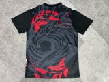 Liverpool Special Edition Fans 1:1 Quality Soccer Jersey   24-25