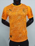 AC Milan Special Edition  player 1:1 Quality Soccer Jersey  25-26