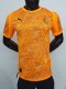 AC Milan Special Edition  player 1:1 Quality Soccer Jersey  25-26