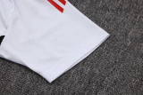 Liverpool Polo Fans  White 1:1 Quality Soccer Jersey  25-26