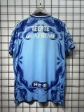 Tiger away fans  1:1 Quality Soccer Jersey   25-26