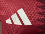 Qatar Home Player 1:1 Quality Soccer Jersey  26-27 (2026)
