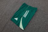 Adidas Clover Sets  Green 1:1 Quality Soccer Jersey  25-26