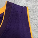 Los Angeles Lakers Kobe  #24 BRYANT Purple V-neck  NBA Jerseys  2008-2009