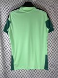 Mexico Training Special Edition Fans 1:1 Quality Soccer Jersey   26-27 (2026)