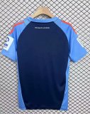 Hamburger SV Special Edition fans 1:1 Quality Soccer Jersey 25-26