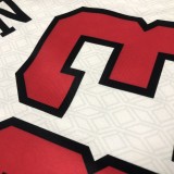 Chicago Bulls City Edition  White  #33 PIPPEN 1:1 Quality NBA  Season Jerseys  2023