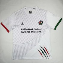 Palestine Special Edition  Fans 1:1 Quality Soccer Jersey  24-25