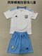 Aston Villa away kids   1:1 Quality Soccer Jersey   24-25