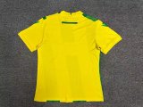 Nante home Fans  1:1 Quality Soccer Jersey  24-25