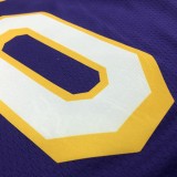 Los Angeles Lakers Purple #0 WESTBROOK  1:1 Quality NBA Season Jerseys
