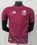 Mexico Goalkeeper Player 1:1 Quality Soccer Jersey   26-27（2026）