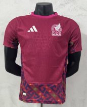 Mexico Goalkeeper Player 1:1 Quality Soccer Jersey   26-27（2026）