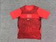 Turkey Away Fans 1:1 Quality Soccer Jersey   26-27 (2026)