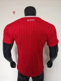 Bayern Munich  T-shirt Special Edition Player 1:1  25-26