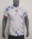Norway  Away  Player 1:1 Quality Soccer Jersey   24-25