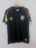Sunderland Special Edition fans 1:1 Quality Soccer Jersey  24-25